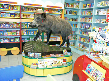 Торговая мебель для книжного магазина, детский отдел